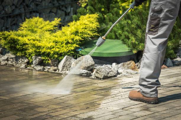 Pre-Holiday Cleaning in Bellport, NY